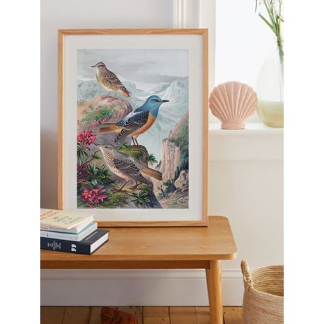 Постер "Botany. Birds"