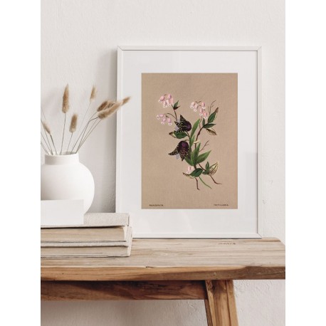 Постер "Botanical flowers"
