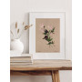 Постер "Botanical flowers"