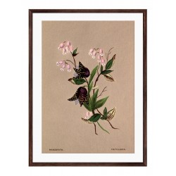 Постер "Botanical flowers"