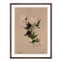Постер "Botanical flowers"