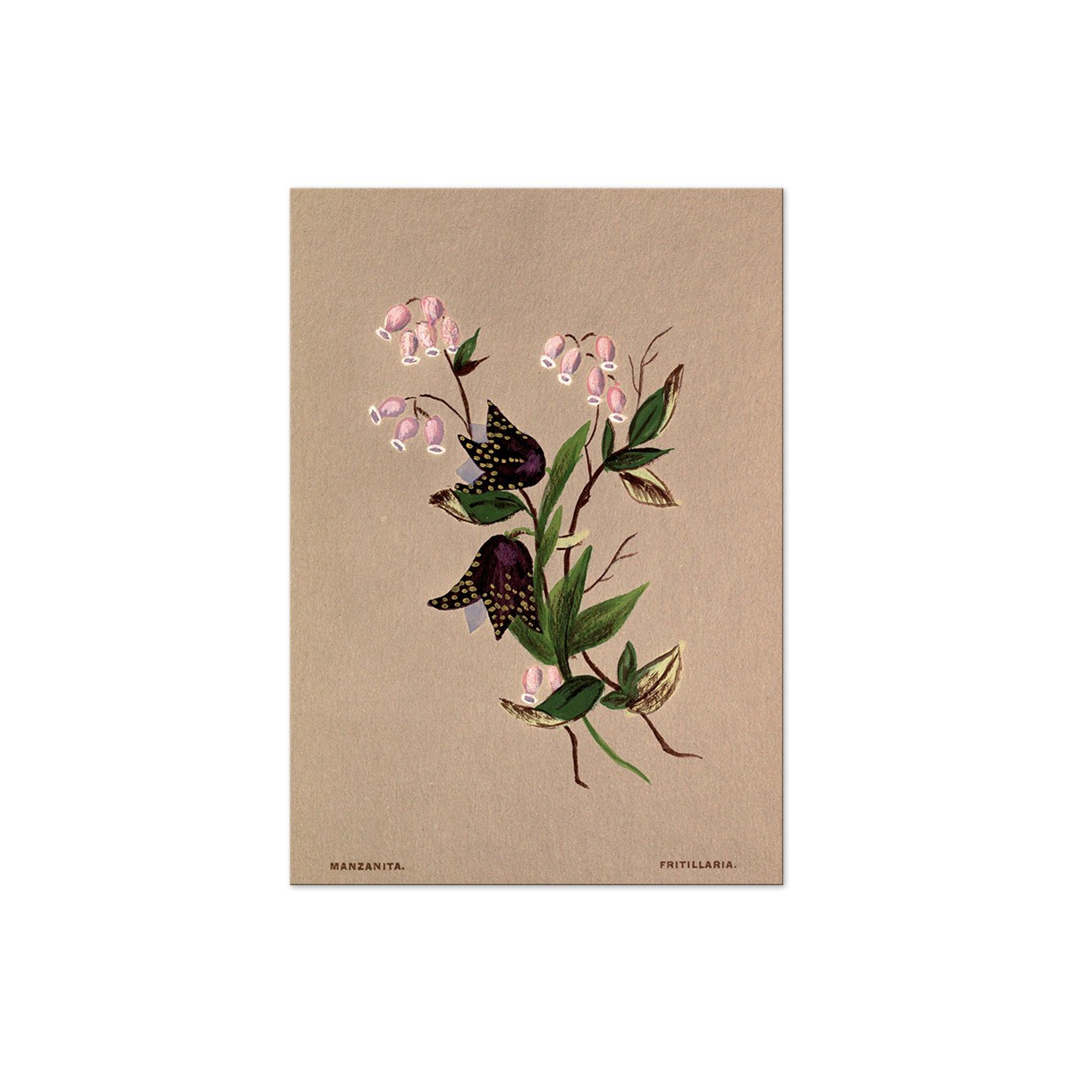 Постер "Botanical flowers"