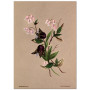 Постер "Botanical flowers"