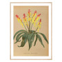 Постер "Botanical flowers"