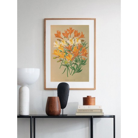 Постер "Botanical flowers"