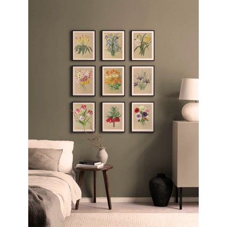 Постер "Botanical flowers"