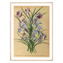 Постер "Botanical flowers"