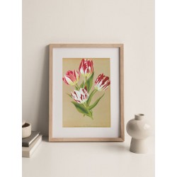 Постер "Botanical flowers"