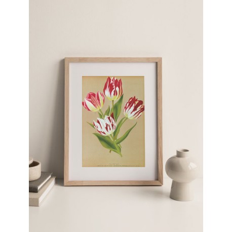 Постер "Botanical flowers"