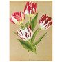 Постер "Botanical flowers"