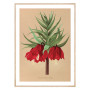 Постер "Botanical flowers"