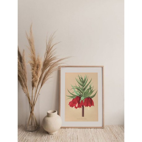 Постер "Botanical flowers"