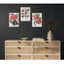 Постер "Botanical flowers"