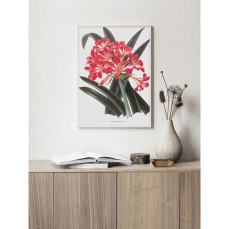 Постер "Botanical flowers"