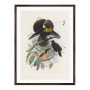 Постер "Botany. Birds"