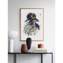 Постер "Botany. Birds"