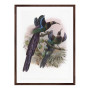 Постер "Botany. Birds"