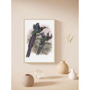 Постер "Botany. Birds"