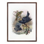 Постер "Botany. Birds"