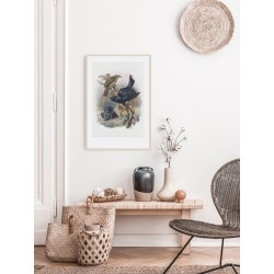 Постер "Botany. Birds"