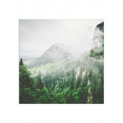 Постер "Forest"