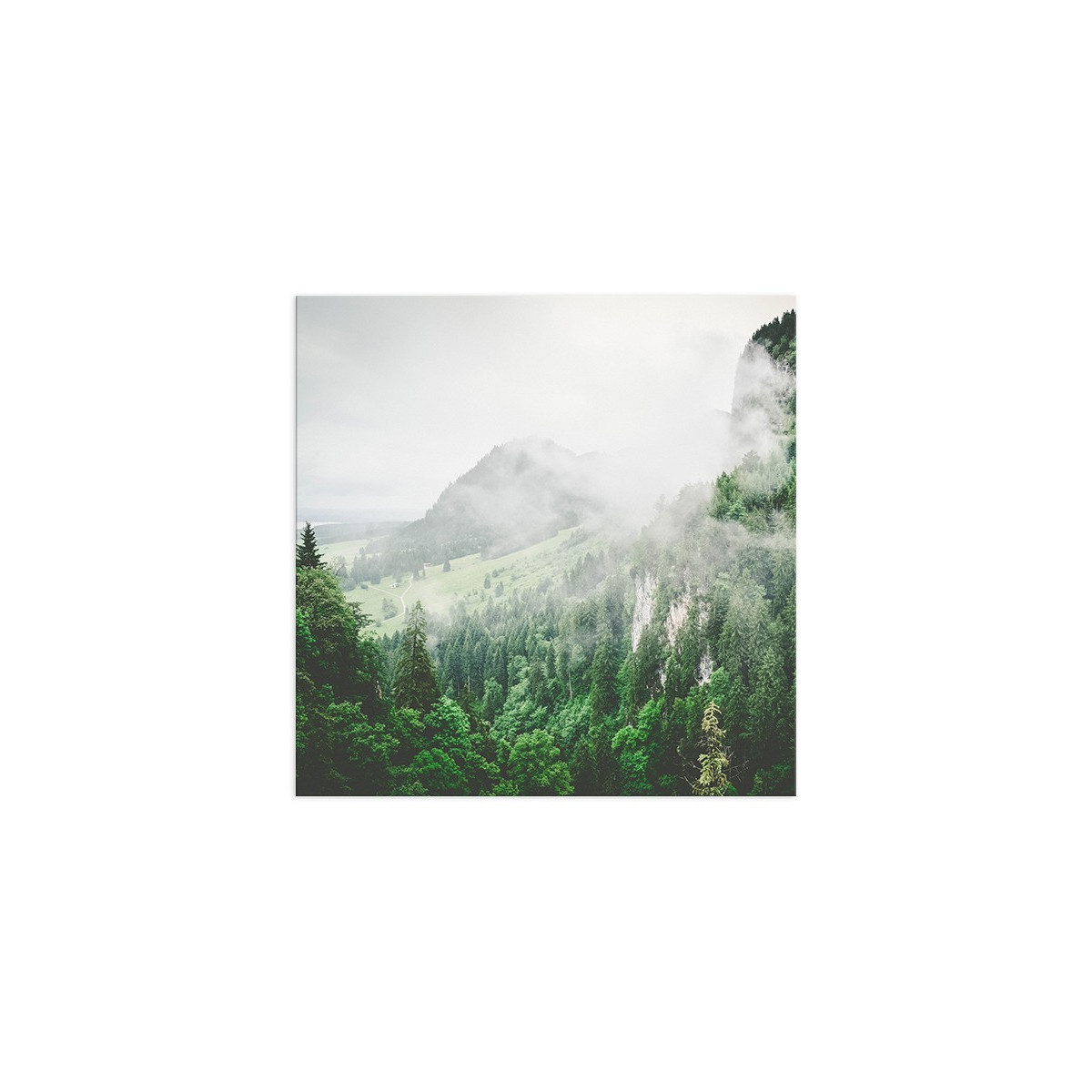 Постер "Forest"