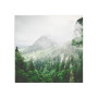 Постер "Forest"