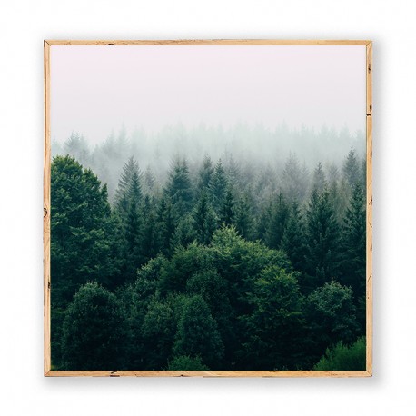 Постер "Forest"