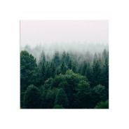 Постер "Forest"