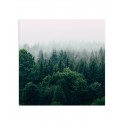 Постер "Forest"