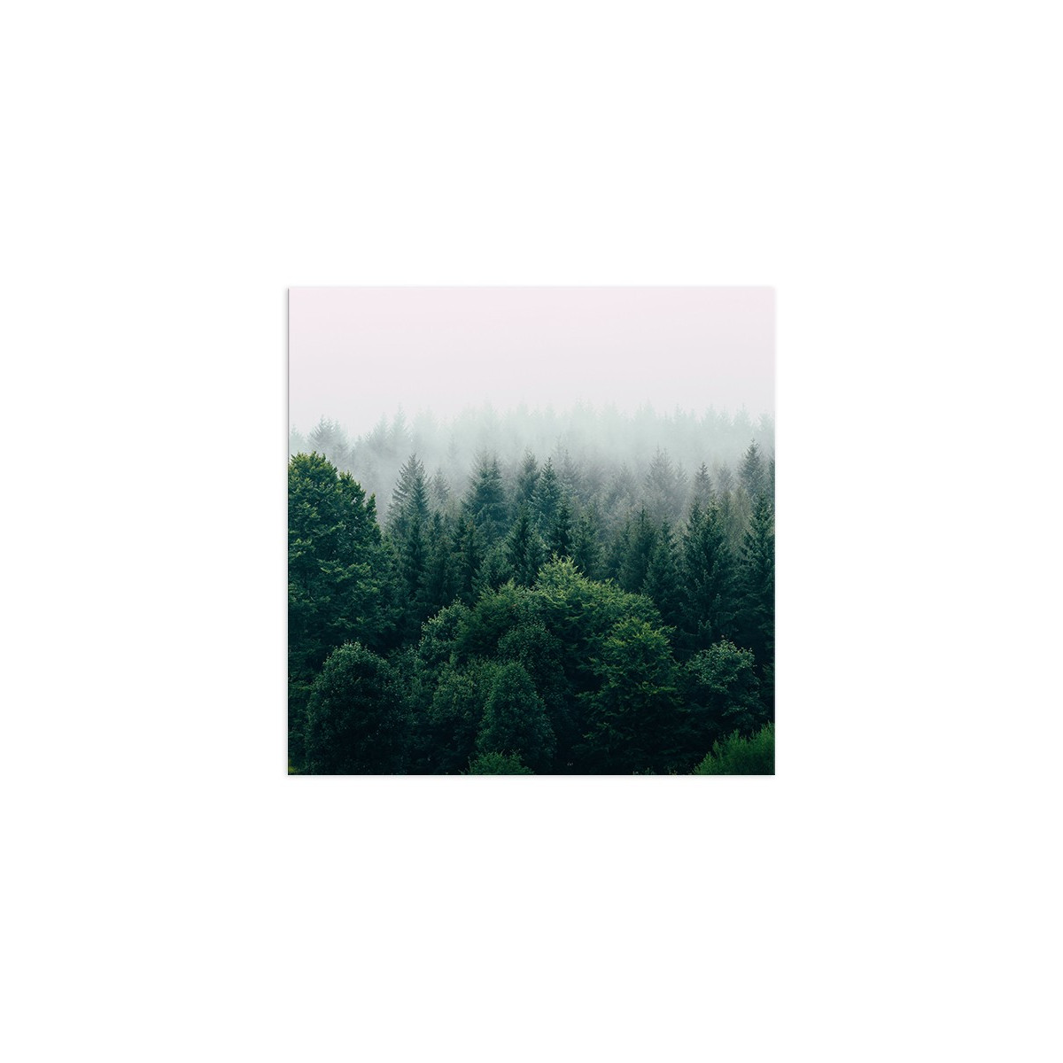 Постер "Forest"