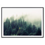 Постер "Forest"