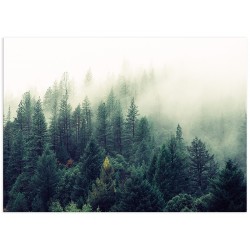 Постер "Forest"