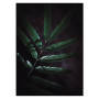 Постер "Plant"
