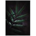 Постер "Plant"