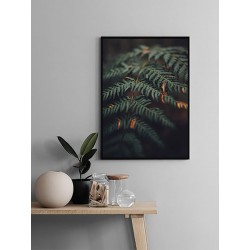 Постер "Папоротник"