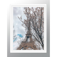 Постер "Paris"