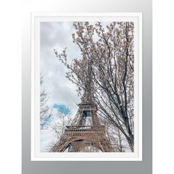 Постер "Paris"