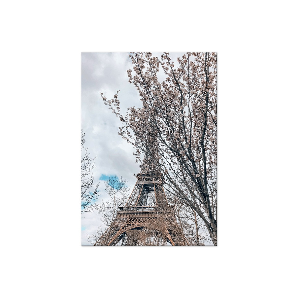 Постер "Paris"