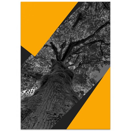 Постер "Tree"