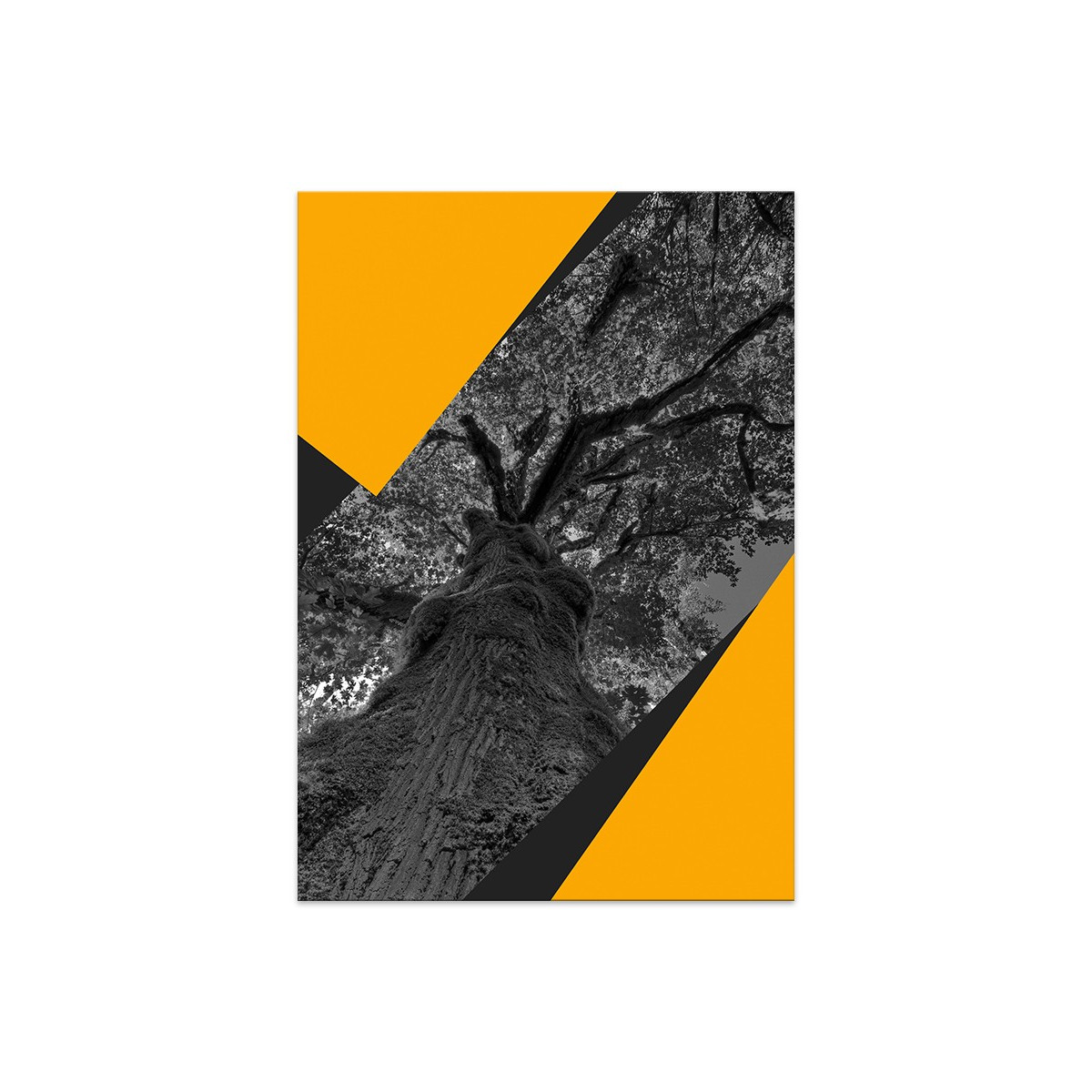 Постер "Tree"
