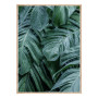 Постер "Monstera"