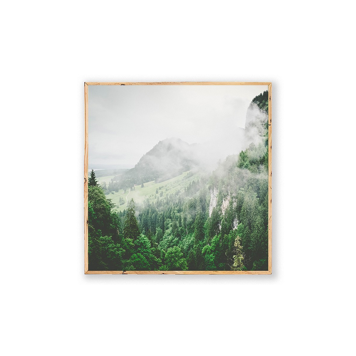 Постер в рамке "Forest"