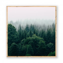 Постер в рамці "Forest"