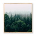 Постер в рамке "Forest"