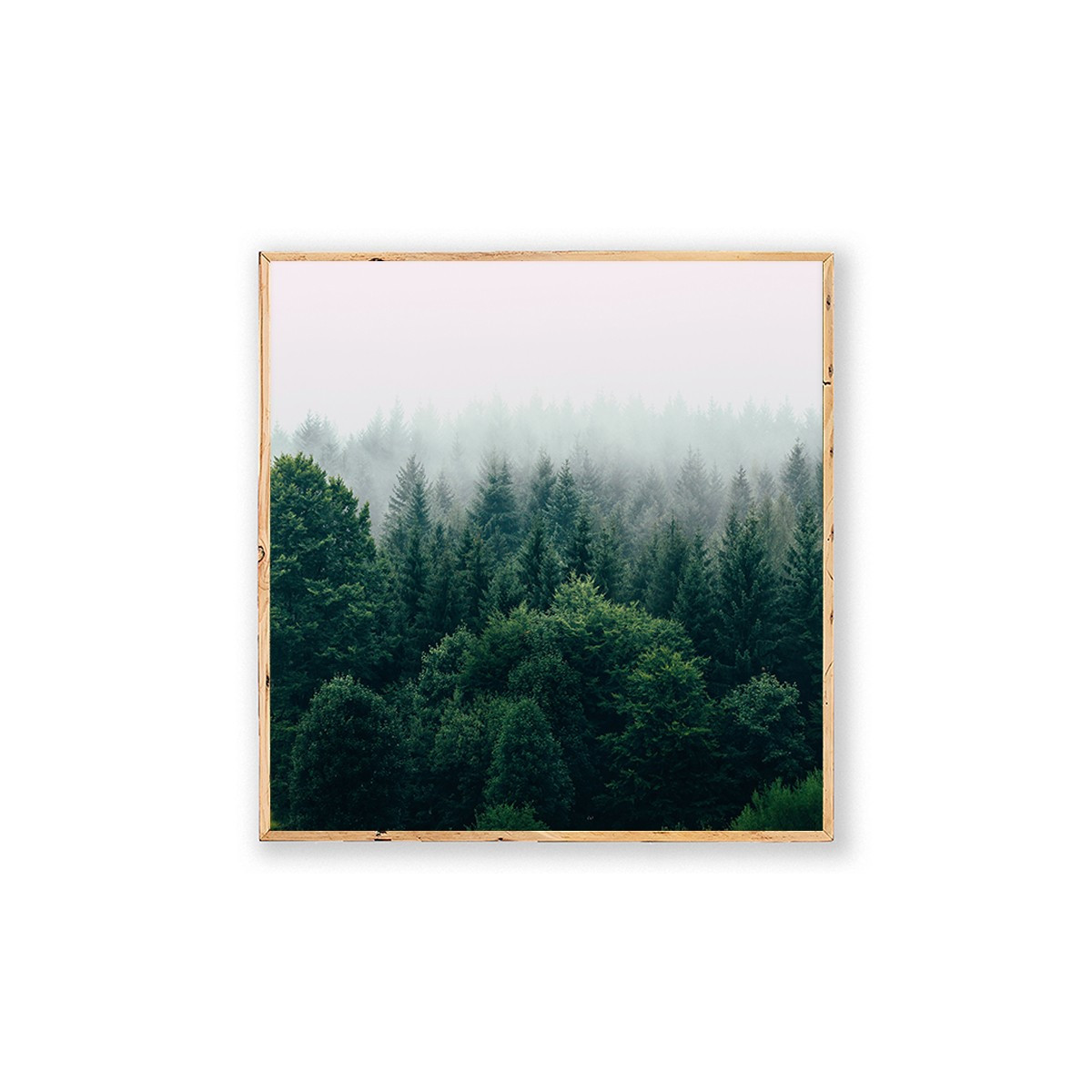 Постер в рамке "Forest"