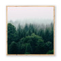 Постер в рамке "Forest"