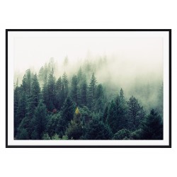 Постер в рамке "Лес"