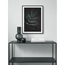 Постер в рамке "Альбиция"