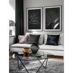 Постер в рамке "Фикус"